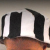 Jailbird Hat for Kids