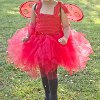 Little Ladybug Costume