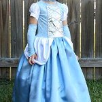 Cinderella Costume