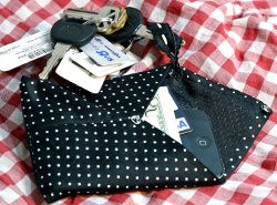Necktie Refashion Into Necklace or Wallet